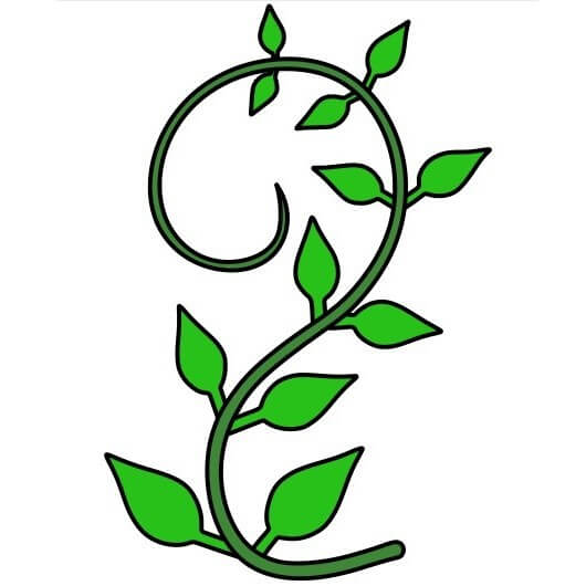 disegni di Vines-1-10