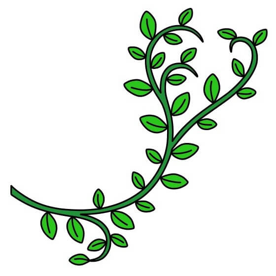 disegni di Vines-5-10