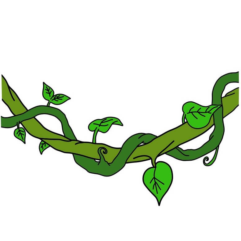 disegni di Vines-6-11