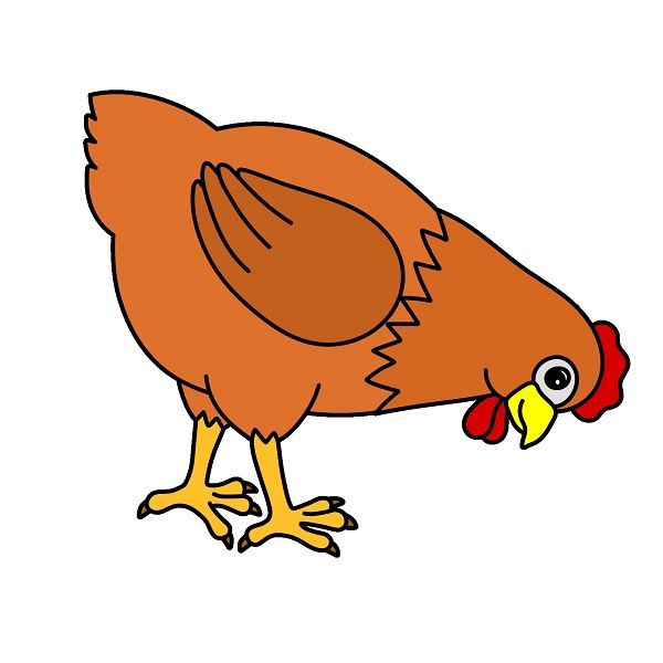 disegni di Hen 5 (8)