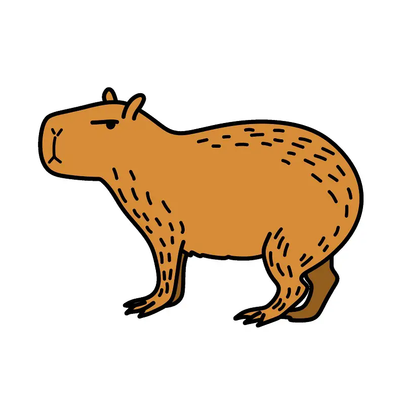disegni di Capybara 4 (7)
