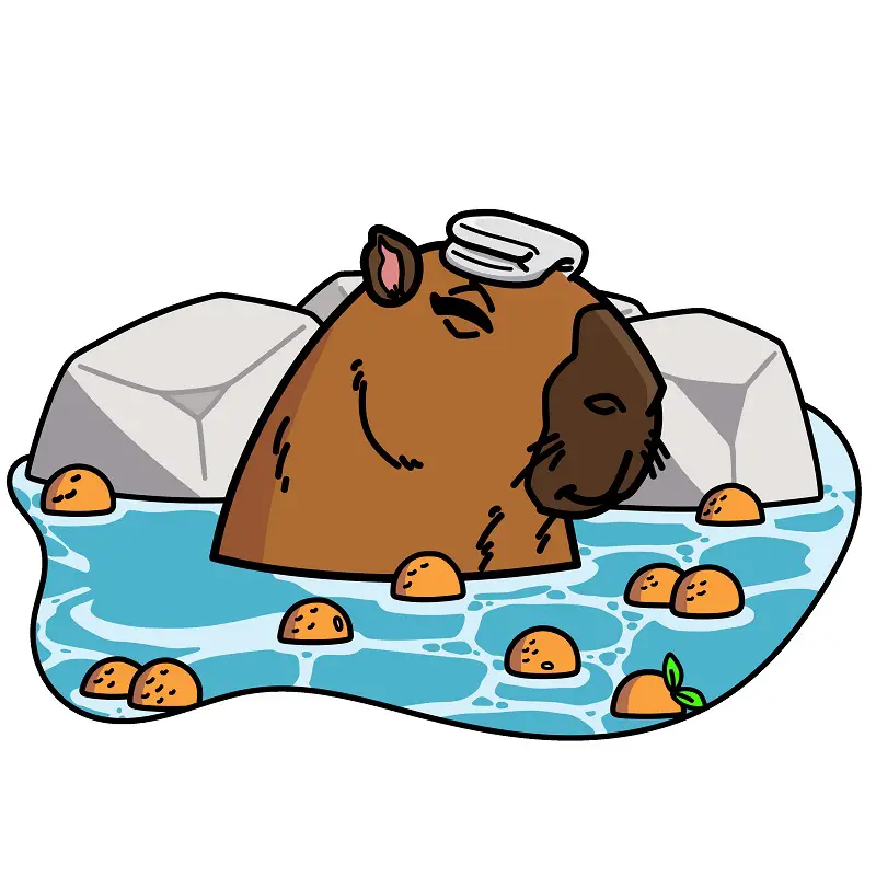 disegni di Capybara 5 (10)