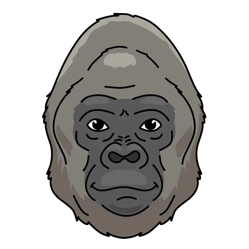 disegni di Gorilla 4 (7)