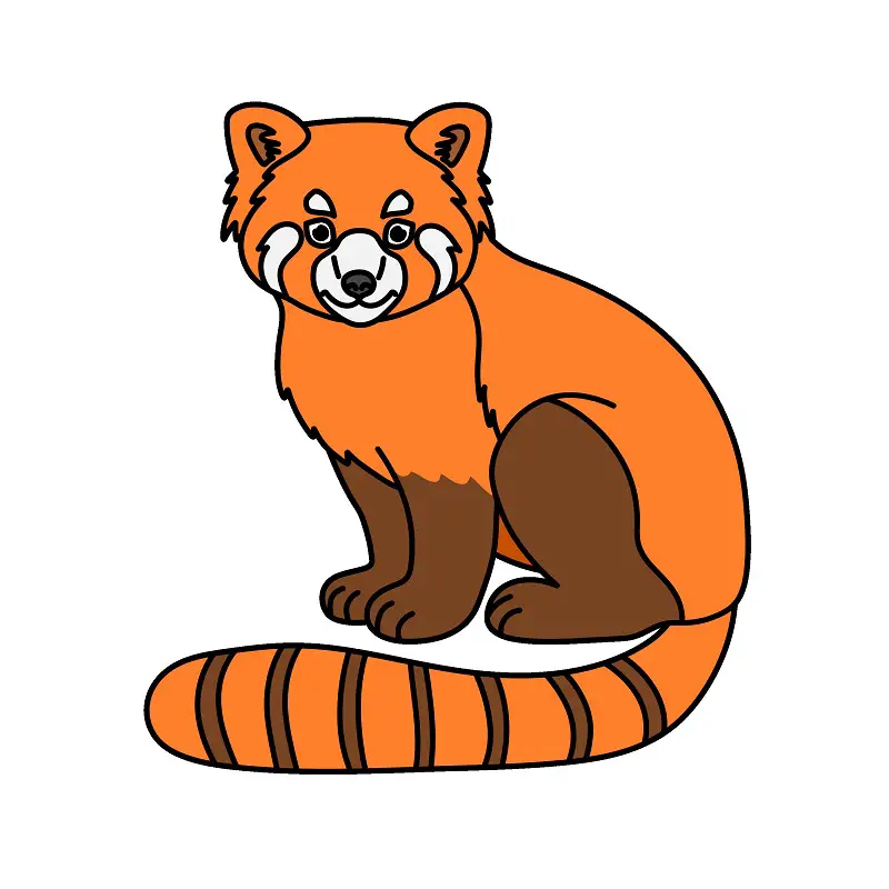 disegni di Red Panda 4 (10)