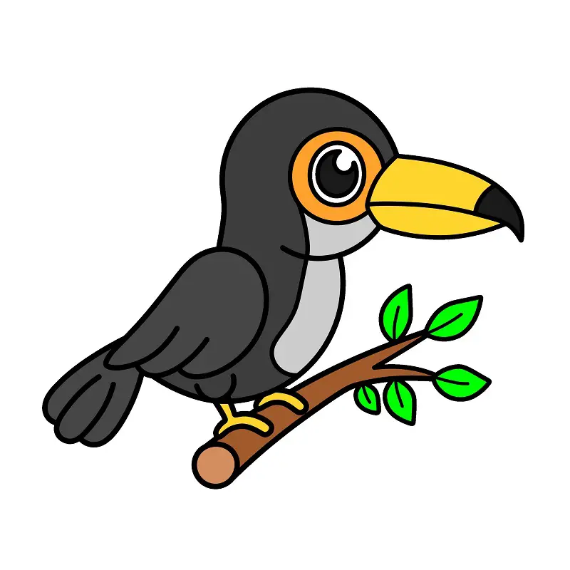 disegni di Toucan 2 (9)