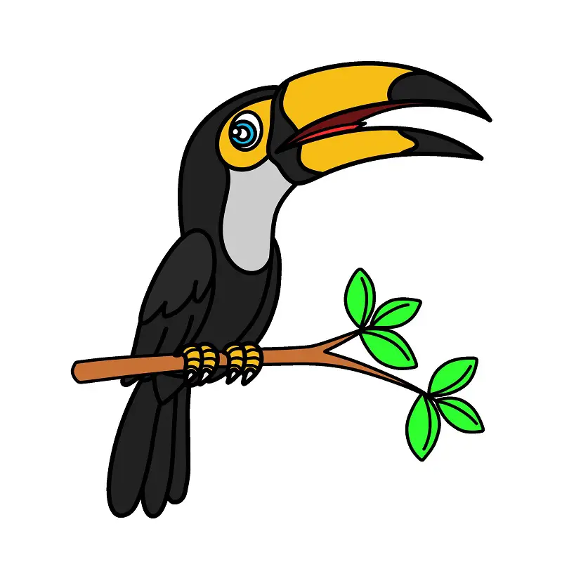 disegni di Toucan 3 (10)