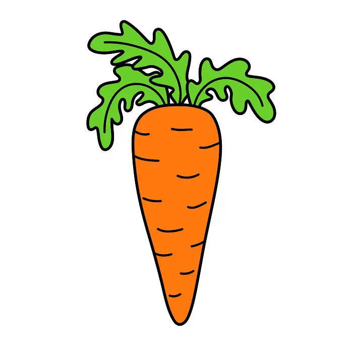 disegni di Carota