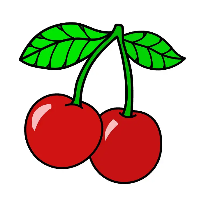 disegni di Ciliegia