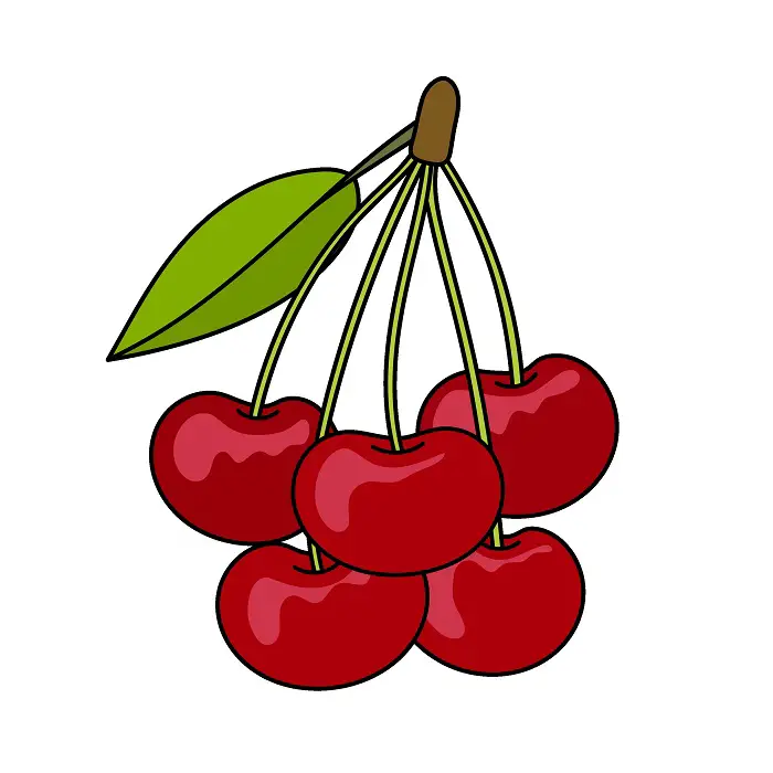 disegni di Cherry 2 (6)